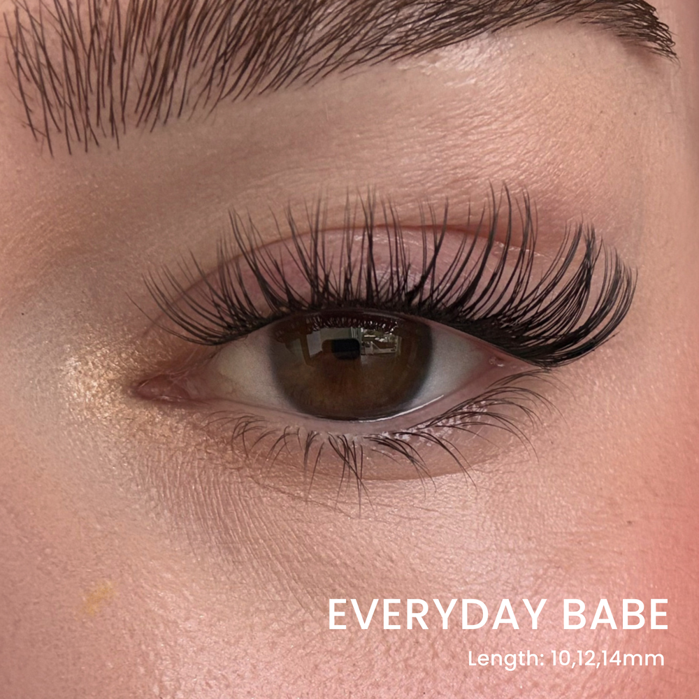 Favorite Starter Kit