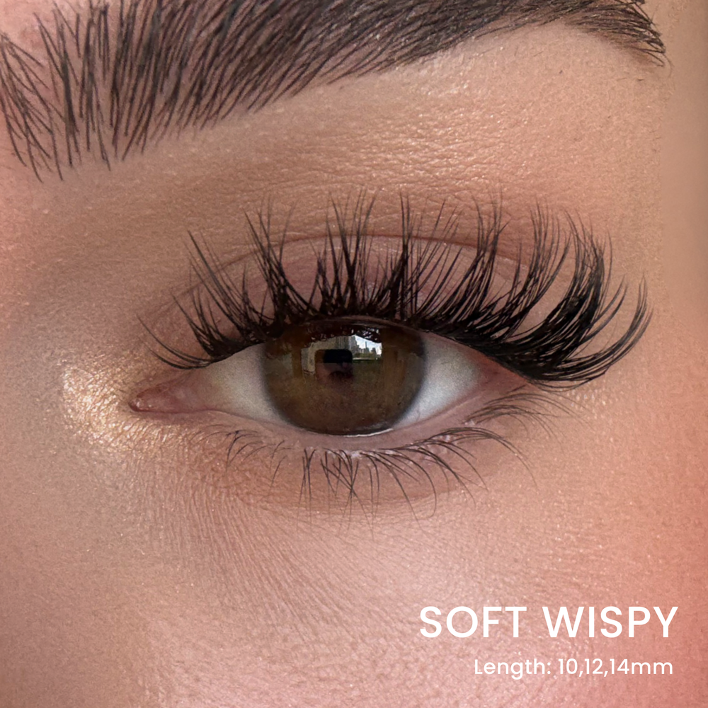 Favorite Starter Kit