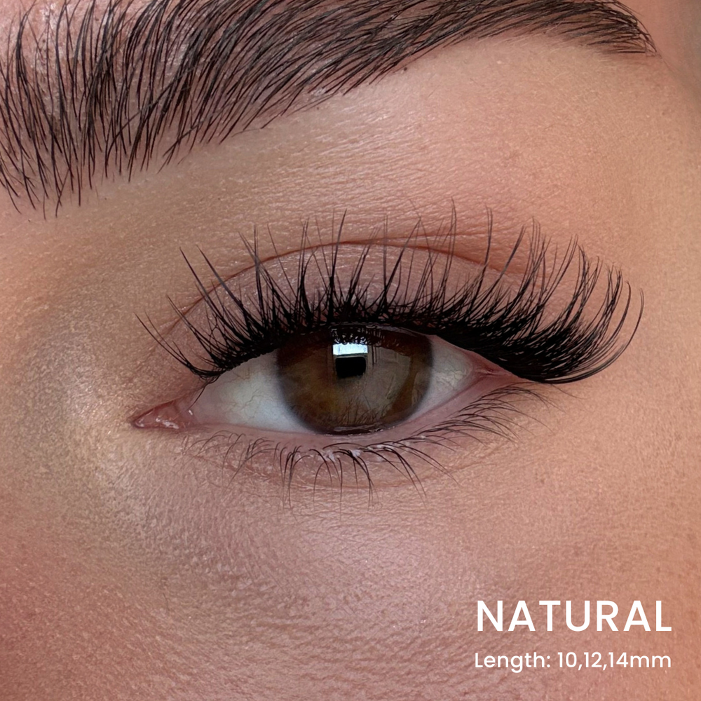 Favorite Starter Kit