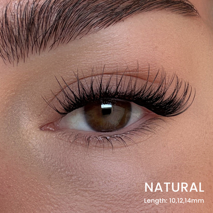 Favorite Starter Kit