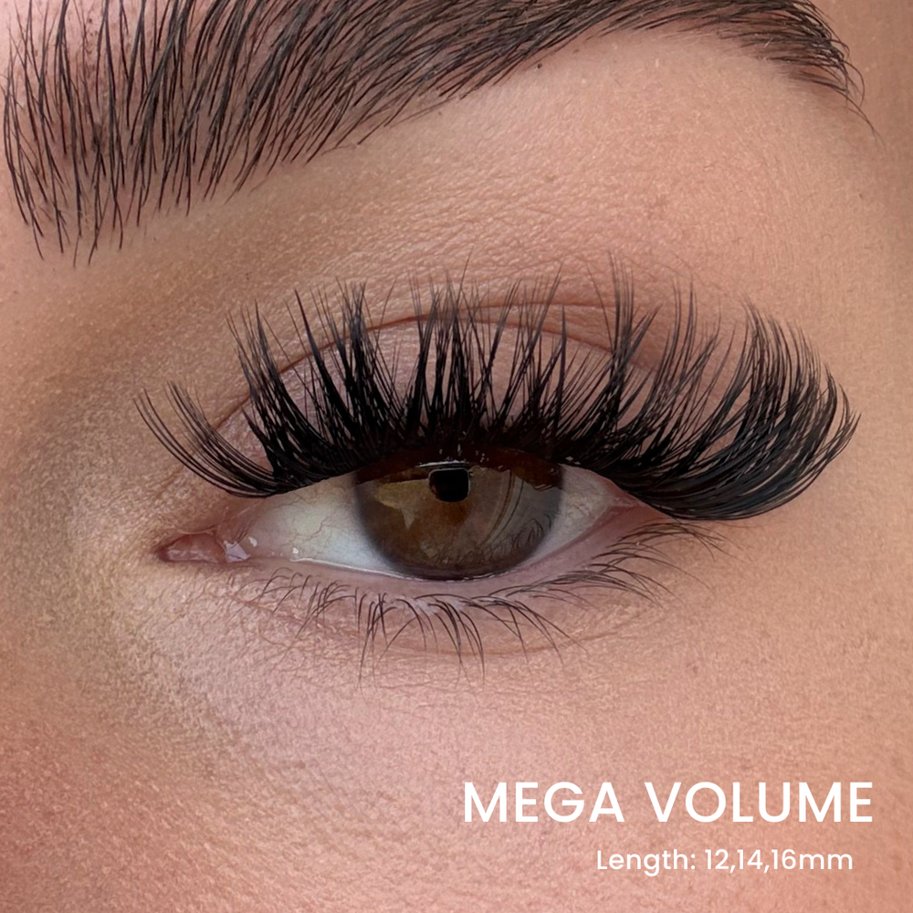 Favorite Starter Kit