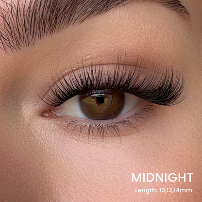 Favorite Starter Kit