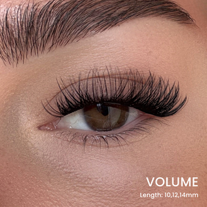 Favorite Starter Kit