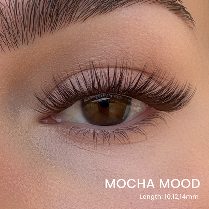 Favorite Starter Kit